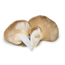 Load image into Gallery viewer, Oyster Mushrooms (250g)
