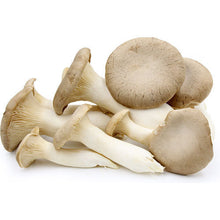 Load image into Gallery viewer, Oyster Mushrooms (250g)
